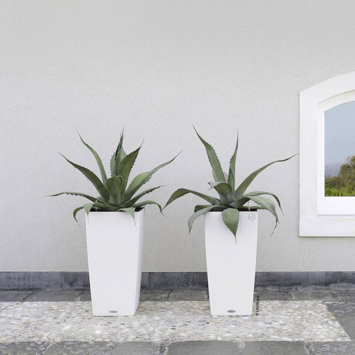 Produktbild Lechuza Cubico Cottage (29.50 cm)
