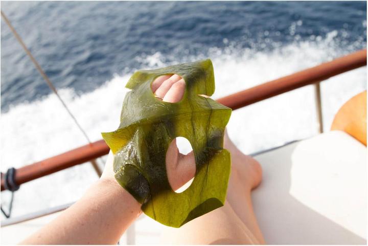 Immagine prodotto Starskin - ORGLAMIC Maschera disintossicante all'alga marina (1 ml)