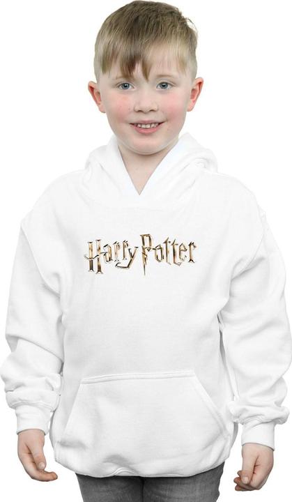 Actual product image Boys Full Colour Logo Hoodie (116)