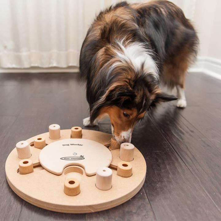 Actual product image Nina Ottosson Nina Ottoson Dog Worker Composite