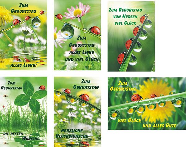Actual product image Magni Greeting Cards 100 Birthday 6 assorted (100 pcs.)