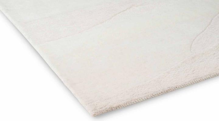 Immagine prodotto Brink & Campman Decorazione (250 x 350 cm)