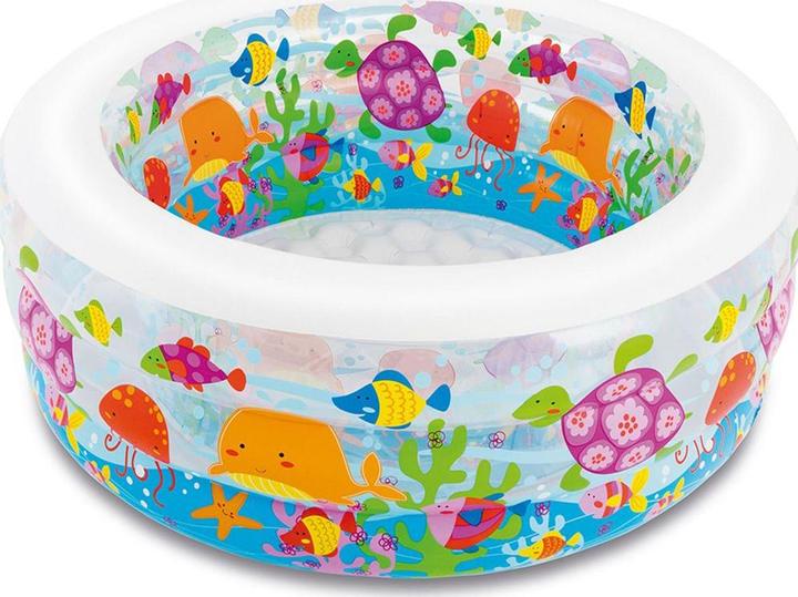 Actual product image Intex Aquarium