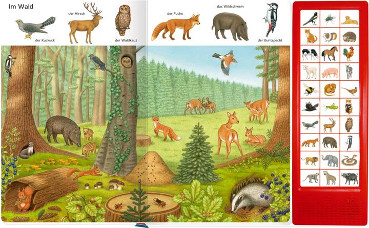 Actual product image So viele Tierstimmen (German, Sybille Brewer, 2020)