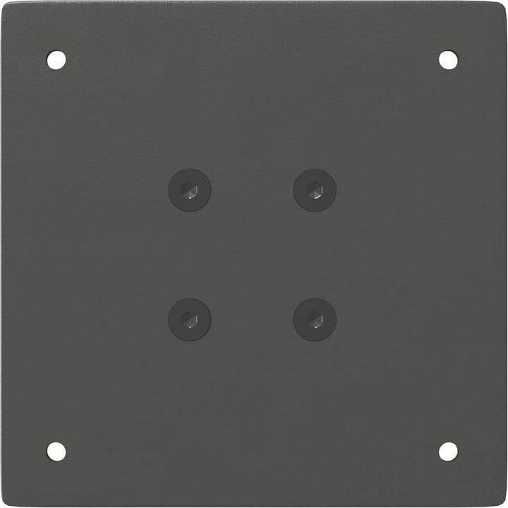 Actual product image VidaXL Magnus