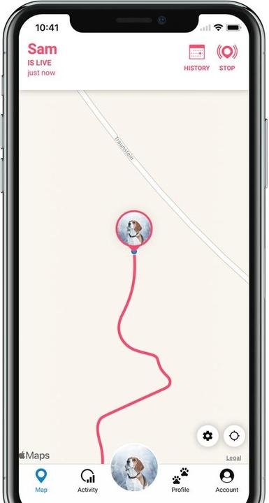 Produktbild Tractive Dog 4 GPS Tracker für Hunde (One Size, Hund, Allgemein)
