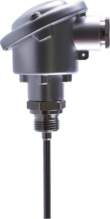 Actual product image Jumo Widerstandsthermometer 902023/10-380-1003-1-6-150-104/000 (00542800)
