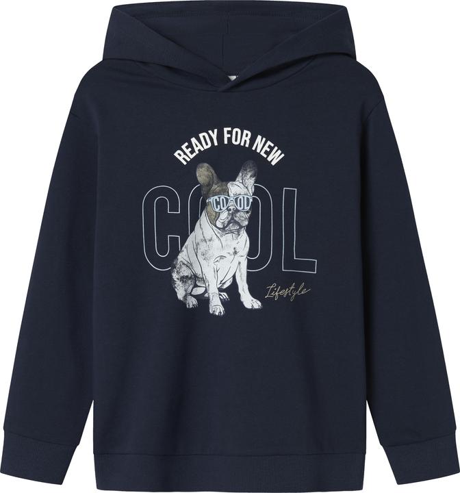 Produktbild Name it Regular Fit Hoodie (116)