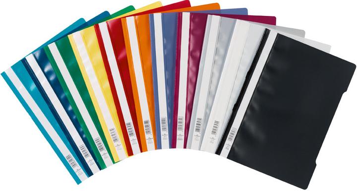 Actual product image Durable Standard loose-leaf binder (A4, 1 x)