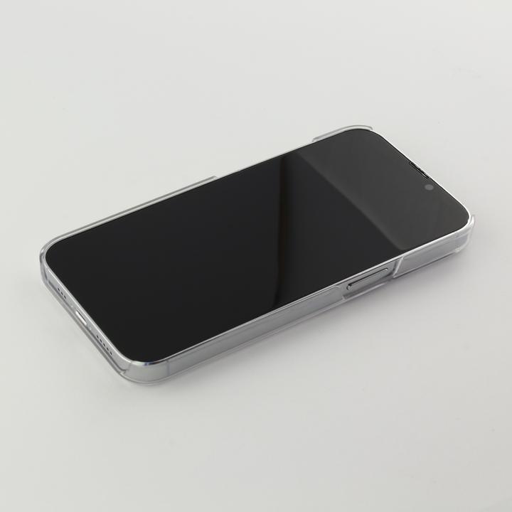 Immagine prodotto PhoneLook Busta più trasparente (Apple iPhone 13 Pro)