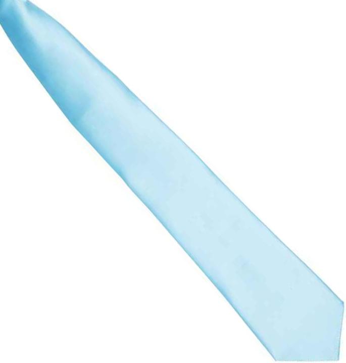 Image du produit Premier Cravate en satin à clipser