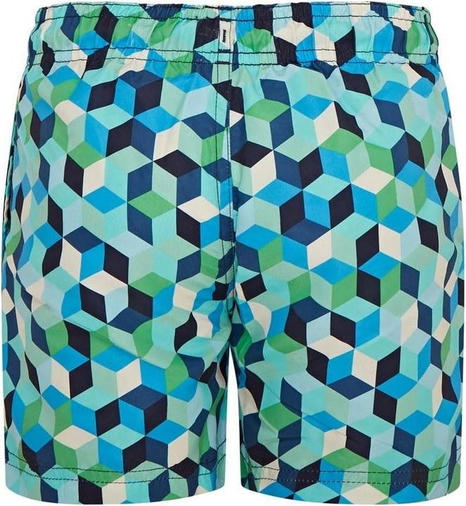 Actual product image Ript Essentials Boys Quick Dry Swim Shorts (140)