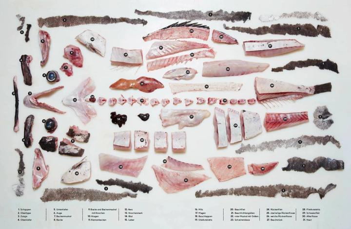 Produktbild Der ganze Fisch: Rezepte von der Flosse bis zur Kieme (Deutsch, Josh Niland, 2021)
