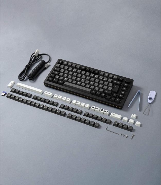 Actual product image Akko MOD 007B HE (DE, Wireless, Cable)