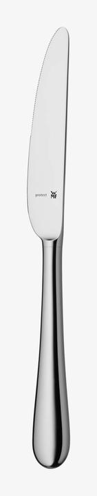 Actual product image WMF Merit (1 Piece, Knife)