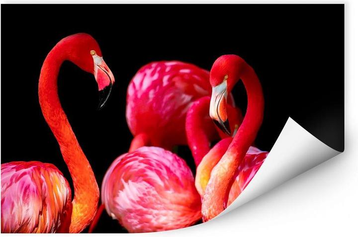 Image du produit Trenddeko Flamant rose (100 x 70 cm)