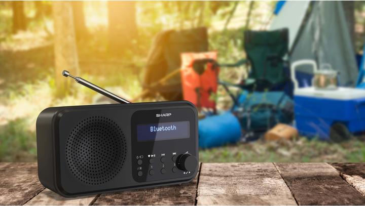 Image du produit Sharp DR-P420 (DAB+ DAB, DAB, FM, Bluetooth)