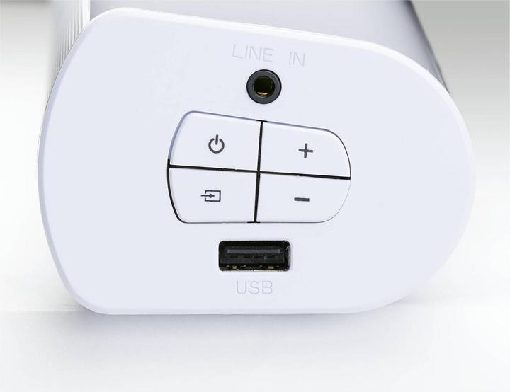 Actual product image Grundig DSB 950 (20 W, 2.0 Channel)