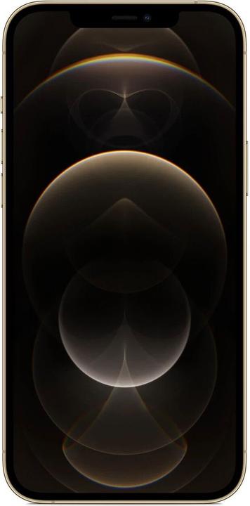 Actual product image Re!commerce iPhone 12 Pro Max (128 GB, Gold, 6.70", 12 Mpx, SIM + eSIM, B / Very good)