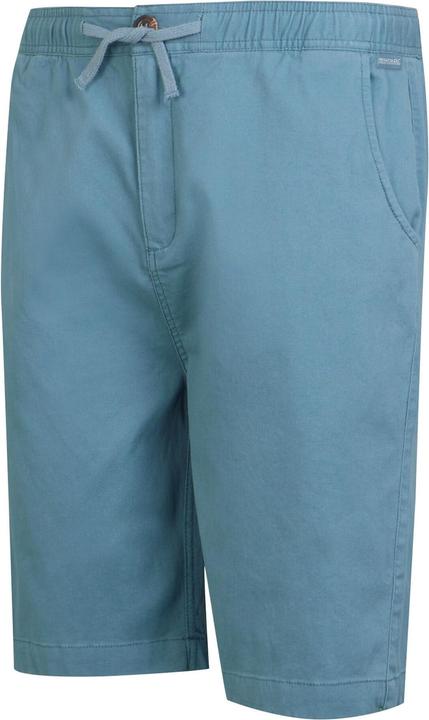 Image du produit Regatta - Short ALDAN - Homme (34)