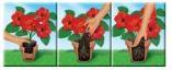 Produktbild Compo Sana® Blumenerde 20 L (20 l)
