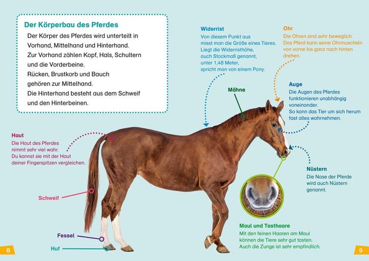 Immagine prodotto Tessloff WAS IST WAS Erstes Lesen Band 7. Pferde und Ponys (Tedesco, Cristina Marrone, Annelie Stenzel, 2019)