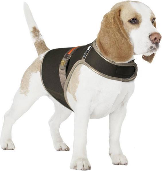 Immagine prodotto Seecurity Gilet luminoso USB in neoprene, M (M, Gilet per cani)
