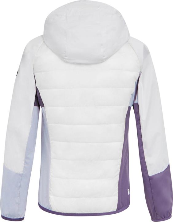 Image du produit Regatta - Veste hybride ANDRESON PRO - Femme (36 D)
