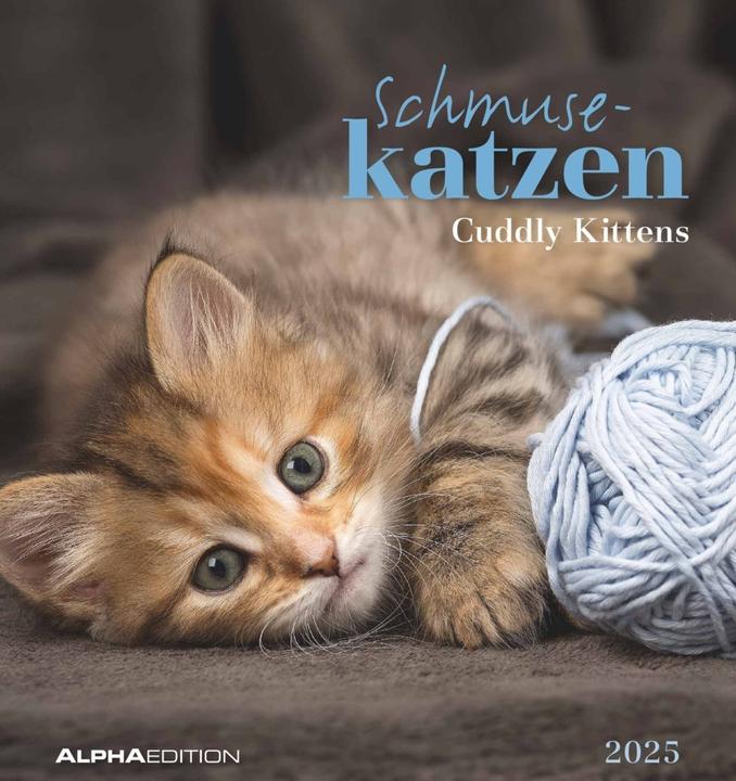 Produktbild Alpha Edition Schmusekatzen 2025 Postkartenkalender, 16x17cm, Kalender mit Postkarten zum (16 x 17 cm, Harter Einband, Deutsch)