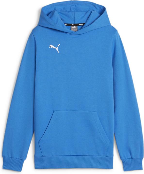 Puma teamGOAL Casuals Hoody Jr