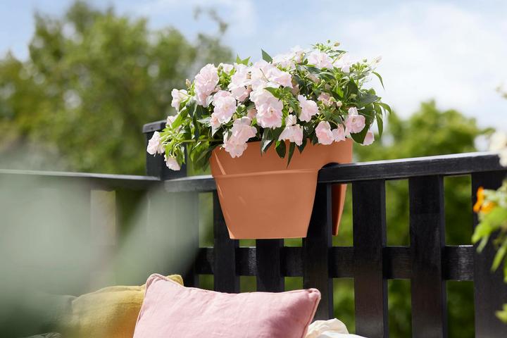 Image du produit Elho Vibia Campana Flower Bridge (26 cm)