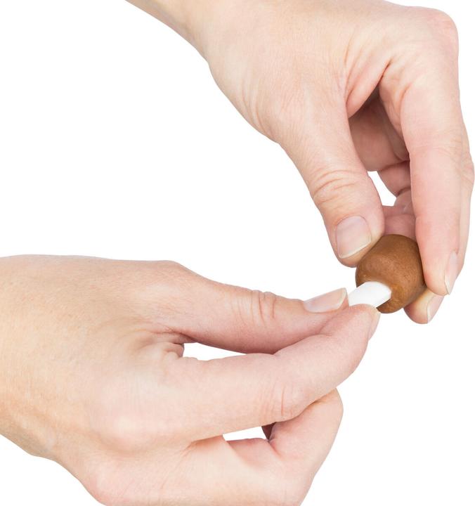 Image du produit Trixie Cache-comprimés (Senior, 1 pcs, 100 g)
