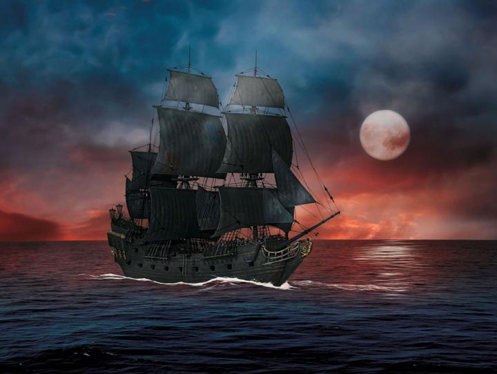 Actual product image Revell Black Pearl