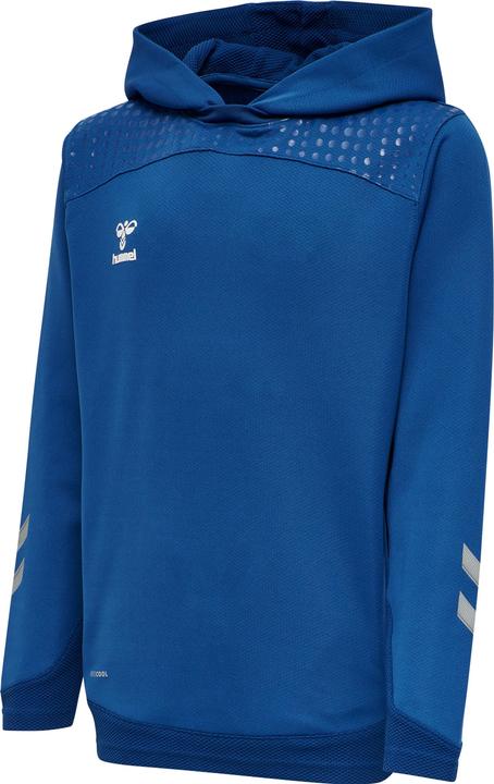 Vrai bleu