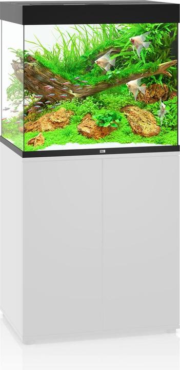 Actual product image Juwel Aquarium Aquarium Lido 200 70x51x65cm black (200 l)
