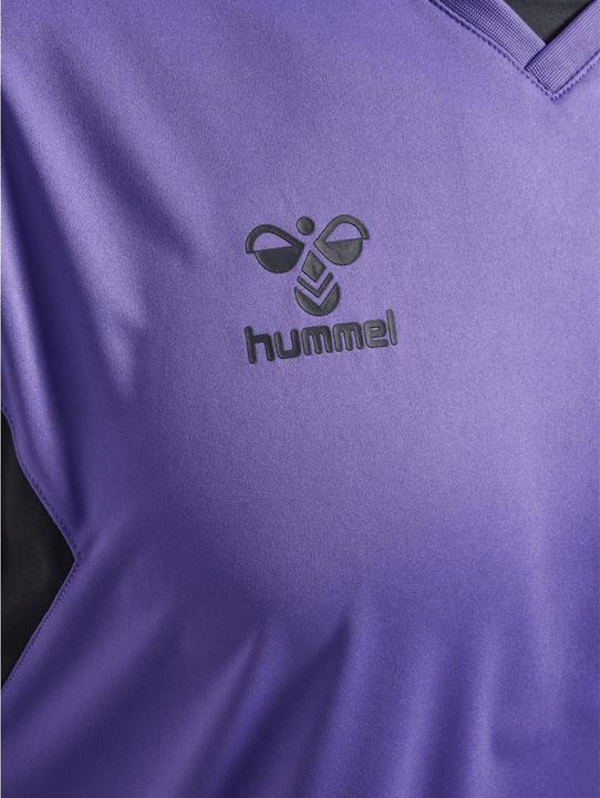 Image du produit hummel Hmlauthentic Pl Jersey S/S (XL)