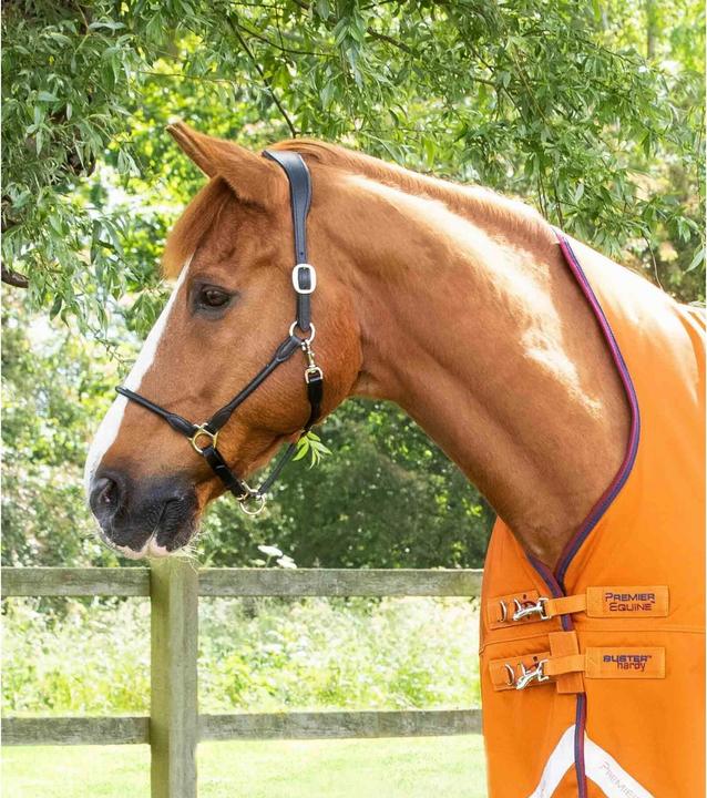 Produktbild Premier Equine Buster Hardy 200 g (183 cm)