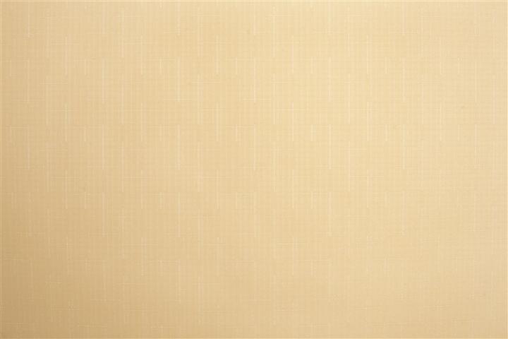 Actual product image Domoletti ROLLER BLIND SHANTUNG 877 60X170 (45 x 75 cm)