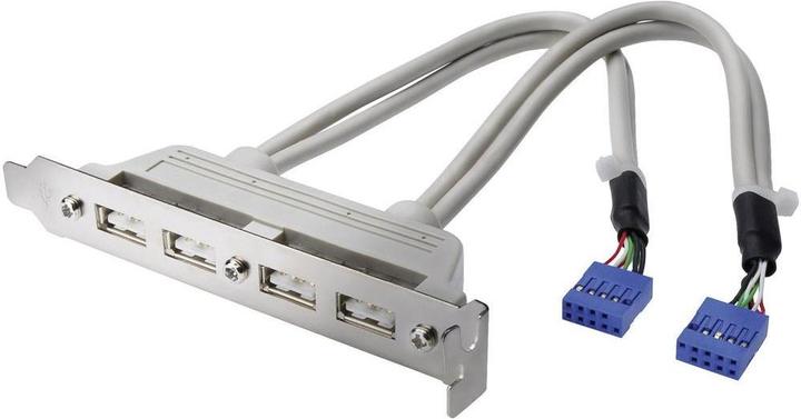 Productafbeelding Digitus ASSMANN USB beugel kabel 4x type A - 2x10pin IDC Bu/Bu 0,25m USB 2.0 compatible be