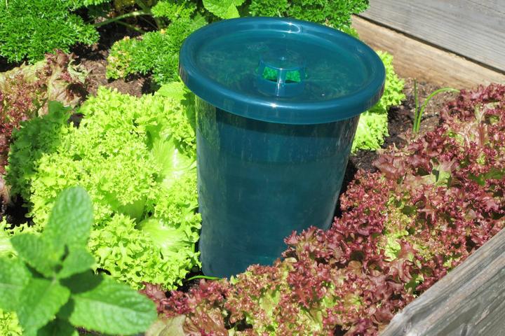 Actual product image Bio Green Hydro Cup Set (Clay cone)