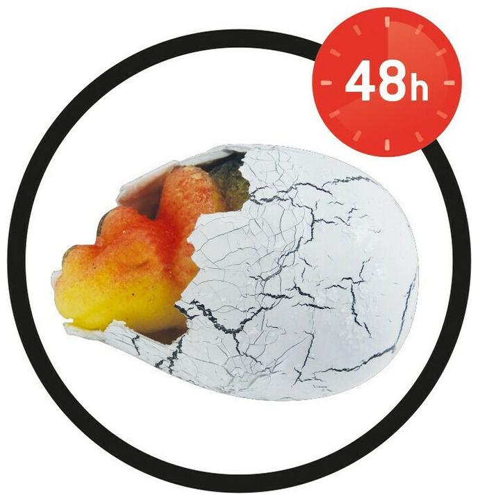 Actual product image Buki France D6G Fun Magic Dinosaur Egg (1pc Random) for 6+ Years