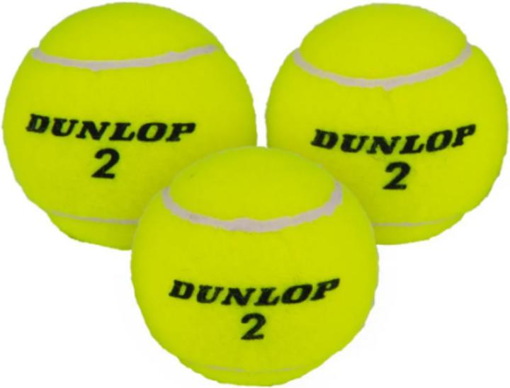 Actual product image Dunlop Club All Court