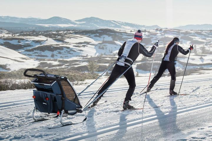 Actual product image Thule Chariot Cross 2