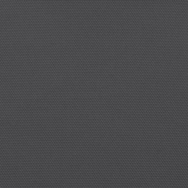 Image du produit VidaXL Nezhatok (200 x 450 cm)