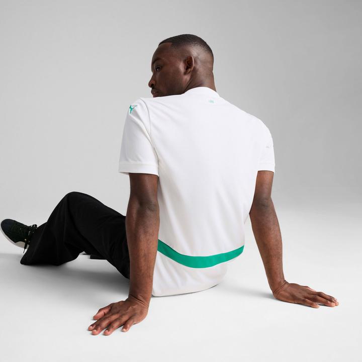 Actual product image Puma FSF Home Jersey Replica (M)