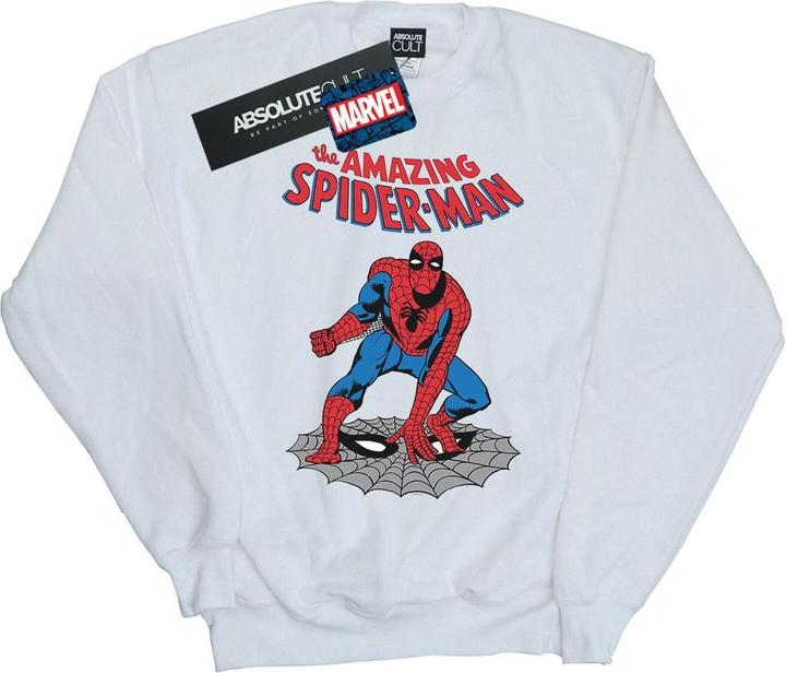 Actual product image Womens/Ladies The Amazing Spider-Man Sweatshirt (XXL)