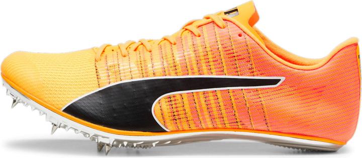 Produktbild Puma evoSPEED BRUSH 6 (37)