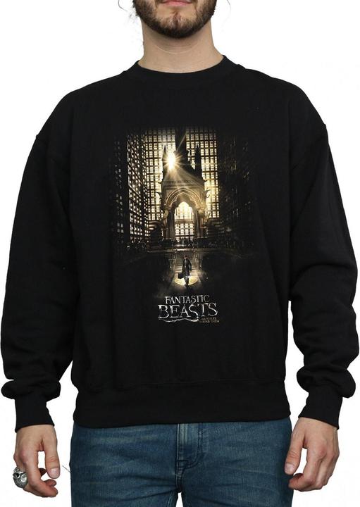Actual product image Fantastic Beasts Mens Movie Poster Sweatshirt (L)