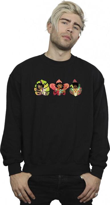 Produktbild Disney Encanto Family Line Sweatshirt (L)