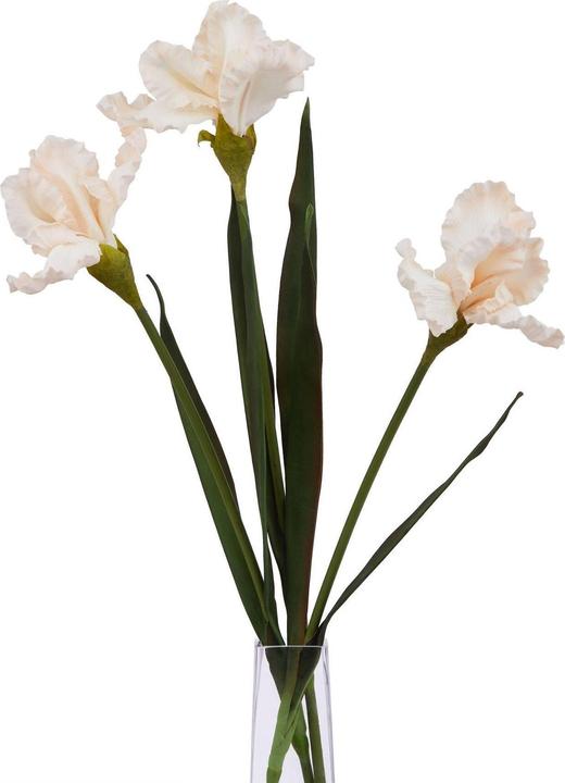 Actual product image Hill Interiors The Natural Garden Collection Fringed Iris Artificial Flower (83 cm)